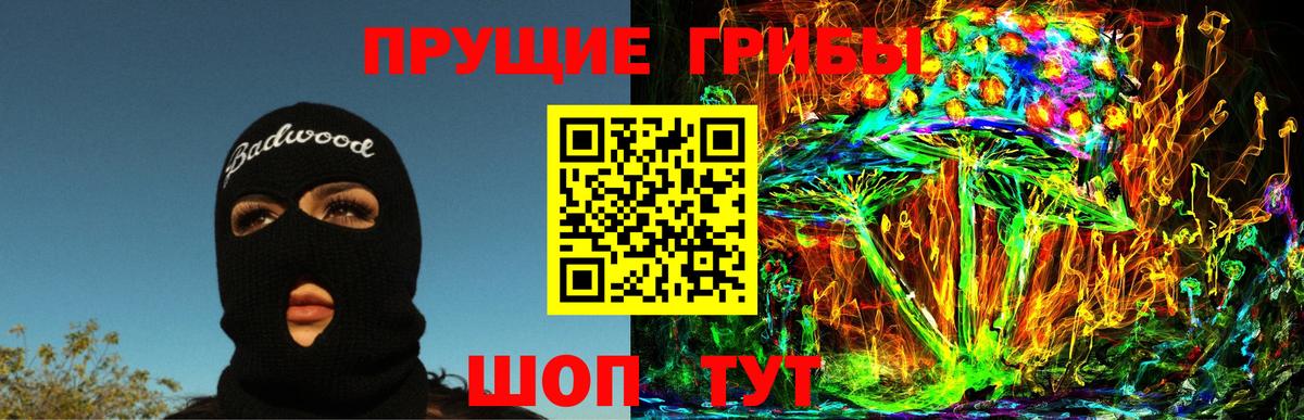 Галлюциногенные грибы прущие грибы  Вход с VPN  Псилоцибиновые грибы Psilocybine cubensis  Осинники 